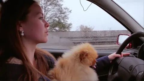 A young woman drives a car with a small fluffy dog on her lap. Still from The Bolivian Case.